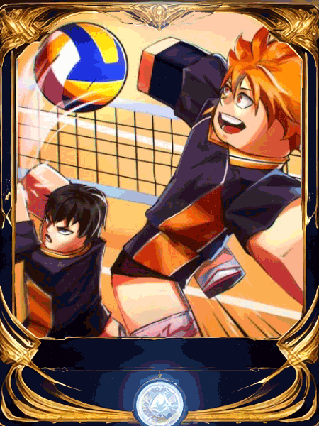 VOLLEYBALL LEGENDS