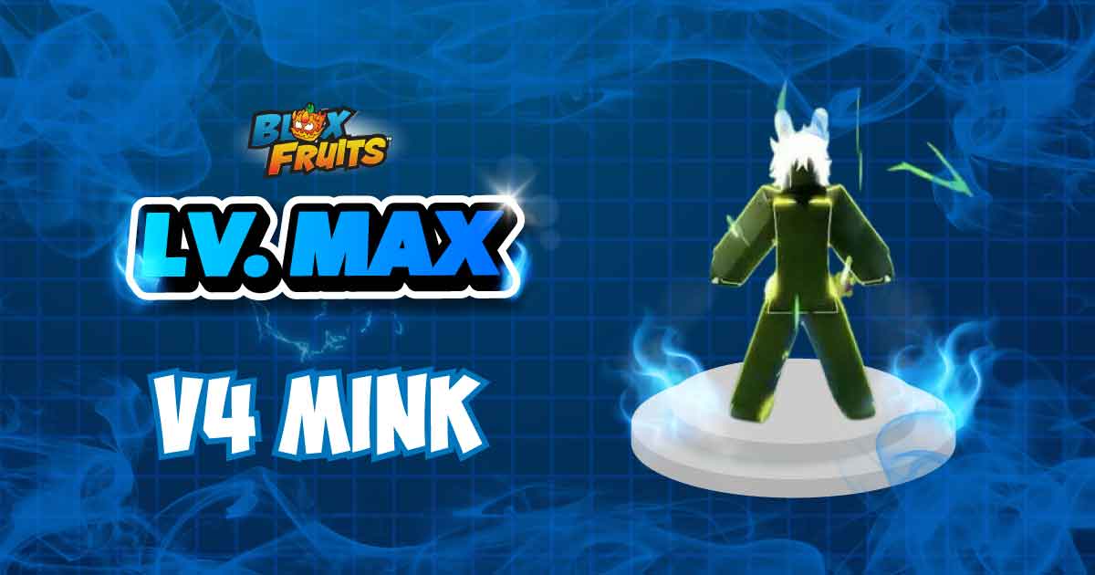LVL MAX + V4 MINK