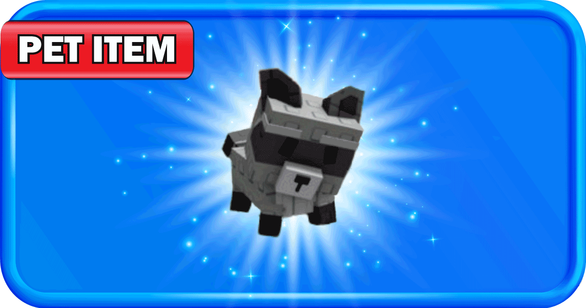 RACCOON